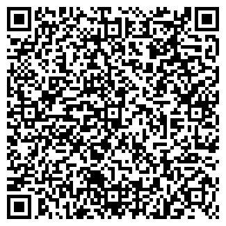 QR-код с контактной информацией организации ИЛЬМЕНЫ-2 КАФЕ