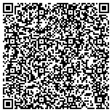 QR-код с контактной информацией организации Ансамбль русской музыки, песни и танца «Балалайка»