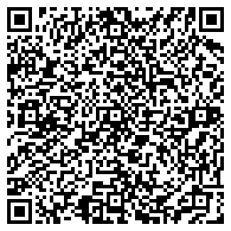 QR-код с контактной информацией организации ДОМИНО БАР