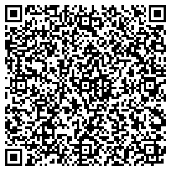 QR-код с контактной информацией организации ДЕТСКИЙ САД № 87