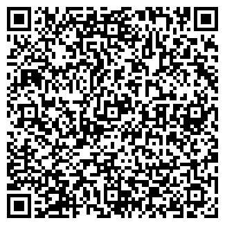 QR-код с контактной информацией организации ДЕТСКИЙ САД № 81