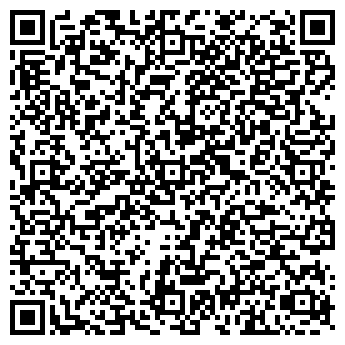 QR-код с контактной информацией организации ИП Альфа Моторс