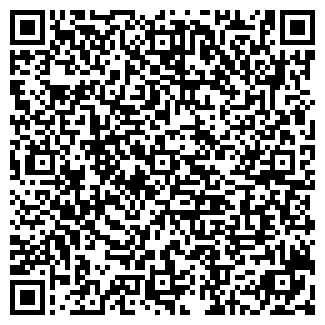 QR-код с контактной информацией организации ИП Лопатин В.Н.