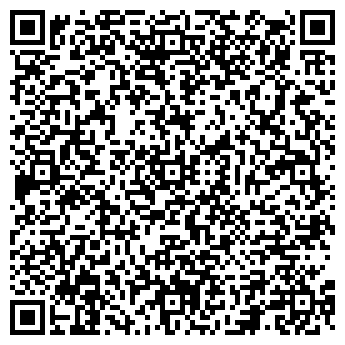 QR-код с контактной информацией организации ИП Чезганов Е.Л. ТехноКуб