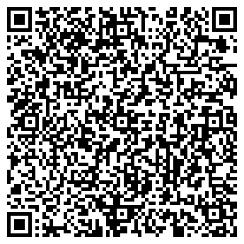 QR-код с контактной информацией организации ИП Электрик