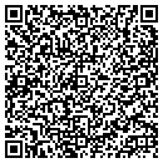 QR-код с контактной информацией организации Магазин DNS