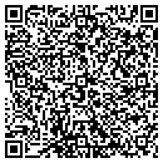 QR-код с контактной информацией организации ИП Sofia Sofi