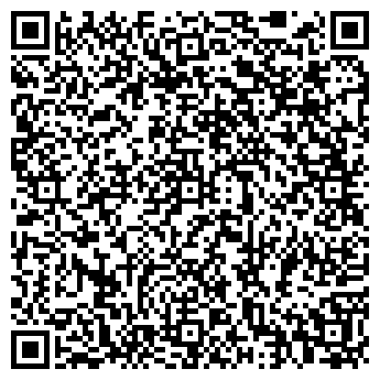 QR-код с контактной информацией организации ИП ТЕЛЕМАСТЕР НА ДОМУ
