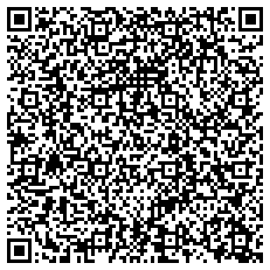QR-код с контактной информацией организации ИП DZINTARS Казан   интернет магазин
