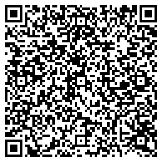QR-код с контактной информацией организации ООО Лиссант