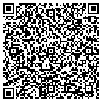 QR-код с контактной информацией организации ИП Василенко