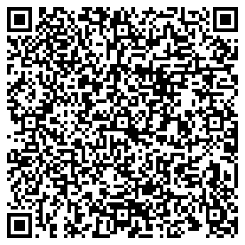 QR-код с контактной информацией организации ИП Kastar