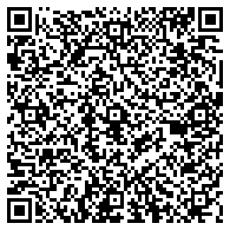 QR-код с контактной информацией организации ИП Борисов