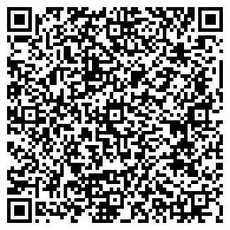 QR-код с контактной информацией организации ЧЕМОДАН