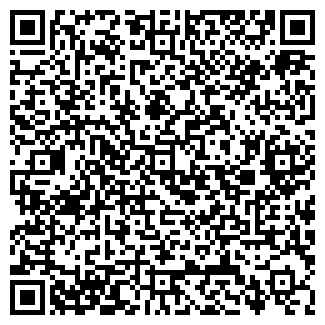 QR-код с контактной информацией организации ООО Михайленко и Сын