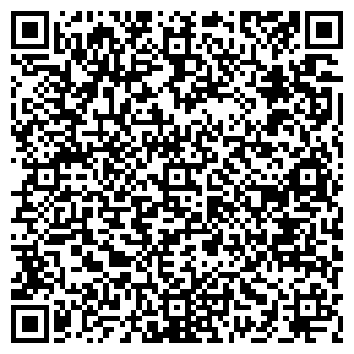 QR-код с контактной информацией организации ИП New Dom