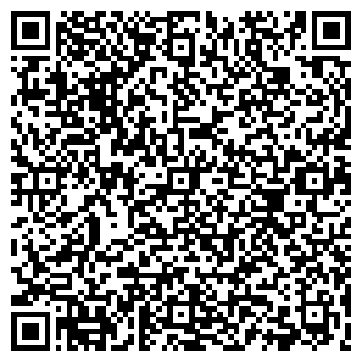QR-код с контактной информацией организации ИП Байкин ВС