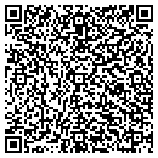 QR-код с контактной информацией организации ООО Layer