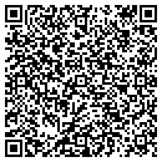 QR-код с контактной информацией организации ООО Рико плюс