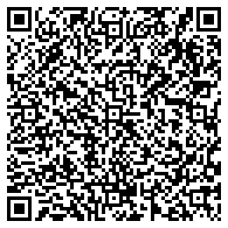 QR-код с контактной информацией организации "Тео Пицца"