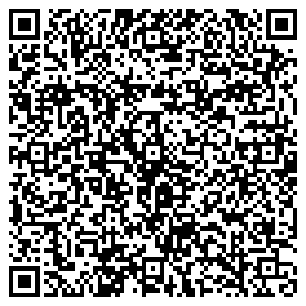 QR-код с контактной информацией организации ВИЛАНИК, НПП, МАЛОЕ ЧП