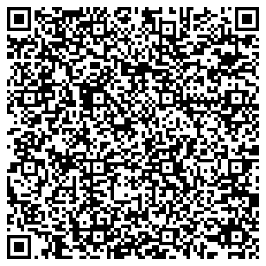 QR-код с контактной информацией организации ИП Строй-Ремонт-Мск