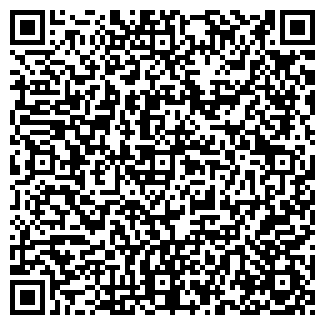 QR-код с контактной информацией организации ИП Bluestime