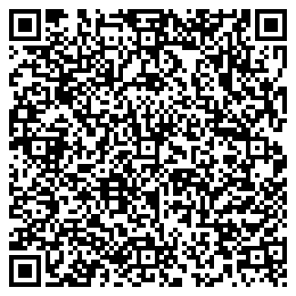 QR-код с контактной информацией организации ООО "9 месяцев"