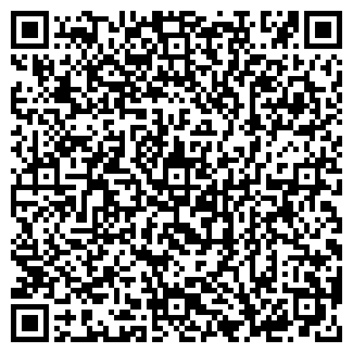 QR-код с контактной информацией организации ИП Такси Мытищи «Городок»