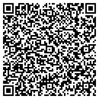 QR-код с контактной информацией организации ИП "Анастасия"