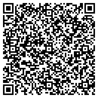 QR-код с контактной информацией организации ИП "Селемджинка"
