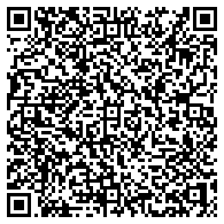 QR-код с контактной информацией организации ДАЛЬДИС, ООО