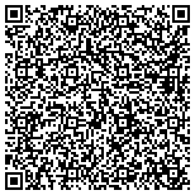 QR-код с контактной информацией организации ИП Кочкин  Продажа бытовой техники
