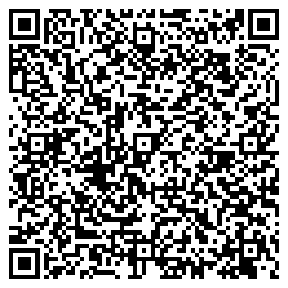 QR-код с контактной информацией организации ИП Максутов Д.Д. РайЦентр