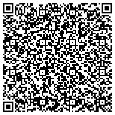 QR-код с контактной информацией организации ИП Интернет-магазин Song of India