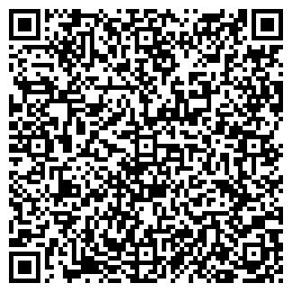 QR-код с контактной информацией организации ИП Игнатенкова "Венеция"