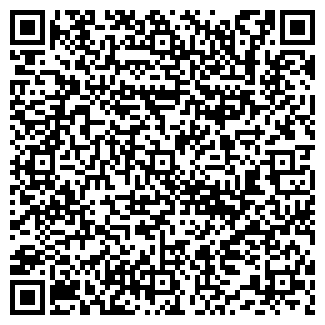 QR-код с контактной информацией организации ДМИТРИЕВ, ЧП