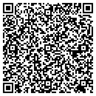 QR-код с контактной информацией организации ООО Vlad Gid