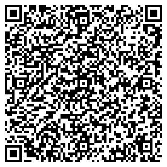 QR-код с контактной информацией организации ИП Шиляев А.В Easytools