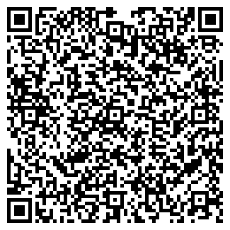 QR-код с контактной информацией организации ИП Гостевой дом Светлана