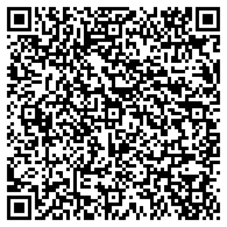 QR-код с контактной информацией организации ДОМИНГО