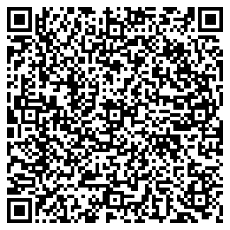 QR-код с контактной информацией организации РАЙЗ