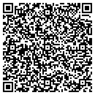 QR-код с контактной информацией организации 2ГИС: Городская информация