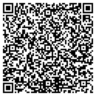 QR-код с контактной информацией организации Флешка46