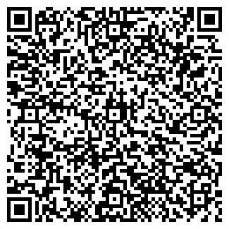 QR-код с контактной информацией организации Алиса
