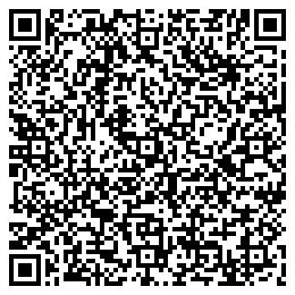 QR-код с контактной информацией организации АГЗС на ул. Родины, 1 ст1