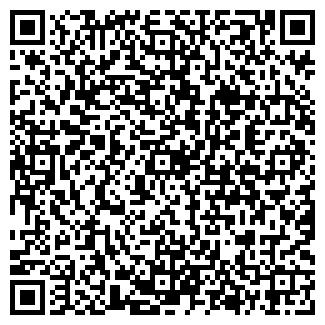QR-код с контактной информацией организации Автомойка на ул. Баррикад, 175