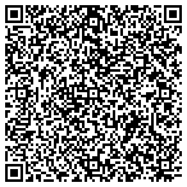 QR-код с контактной информацией организации Штатныеавтомагнитолы.рф