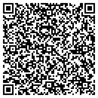QR-код с контактной информацией организации ООО Мир Авто