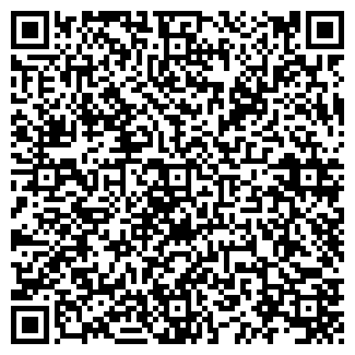 QR-код с контактной информацией организации 5 Колесо
